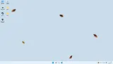 Cockroach!