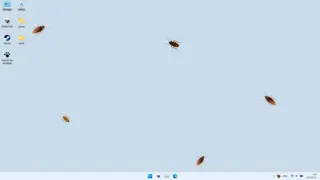 Cockroach!