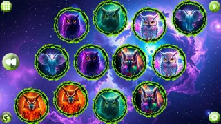 Space Memory: Owls