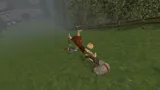 Cheese Rolling