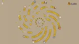 36 Zodiac Cycles