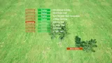 Red vs Green