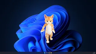 Deskcat