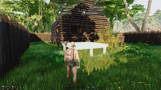 Mesorift Survival