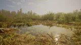 Forest Doesn’t Care