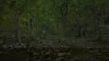 Alpha Point