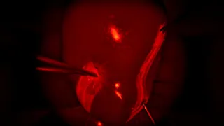 Door(2/3)¹³