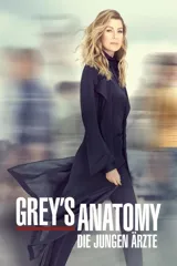 Grey's Anatomy – Staffel 23