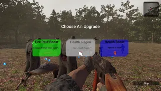 First Survivors