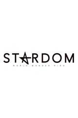 スターダム・ワールドのスターダム – Staffel 15