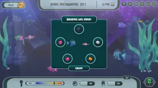 My Joyful Aquarium
