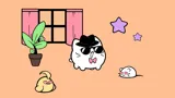 Pat Pat Cat