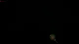 The Night Crawler