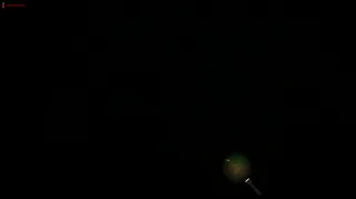 The Night Crawler