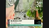 Blippo+