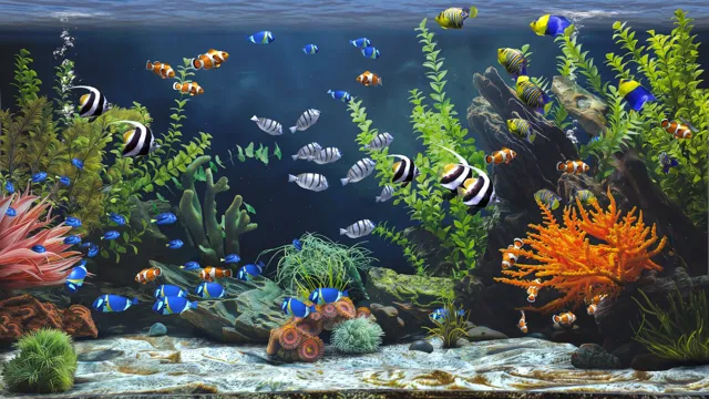 Zen Aquarium