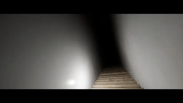 Nietzsche's Shadow