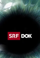 SRF DOK – Staffel 21