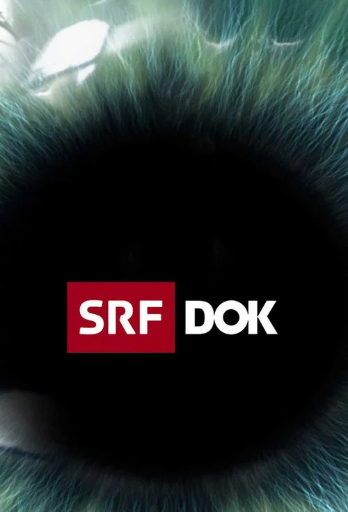 SRF DOK – Staffel 22