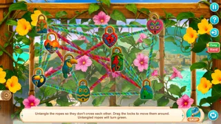 Festival Journey: Secrets of Rio Collector's Edition