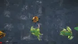 I'm a frog