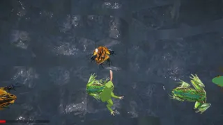 I'm a frog
