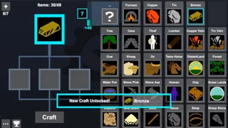 Sapiens Craft Puzzle