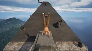 Handstand Hank