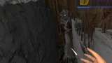 FEAR OF BUGS 2