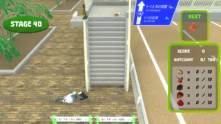 トリと木の実