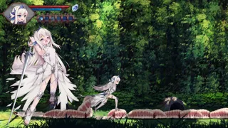Dragon Battle Princess