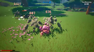 ROCKS