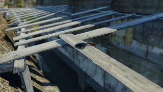 Strong Crab