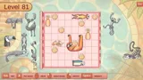 Fit My Zoo