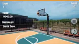 Big Flip Basketball