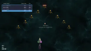Cosmic Swarm