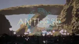Anthèse