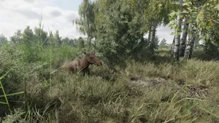 On the Hunt