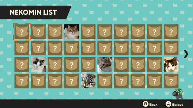 NEKOMIN Kittens invasion