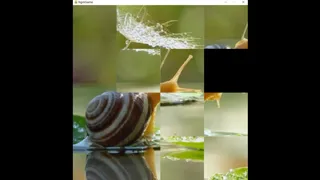 hgmGame-snail