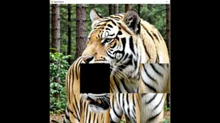 hgmGame-tiger