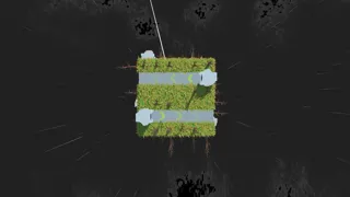 DTC