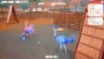 Ostrich Farm