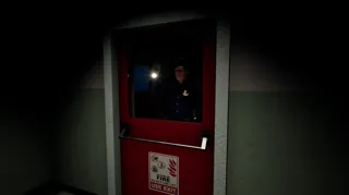 Forest Asylum 2