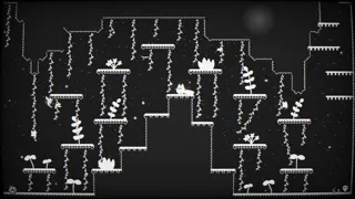 Cats Catching Mice: The Black and White World
