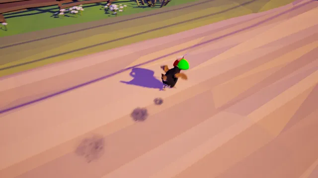 Farm Chicken