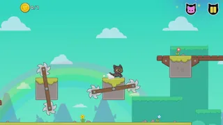 Kitty Loves Birds