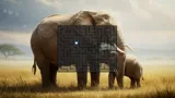 123 MAZES