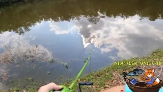 My Fishing Desktop