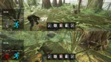 JungleBoys
